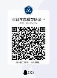 qrcode_1617115691533